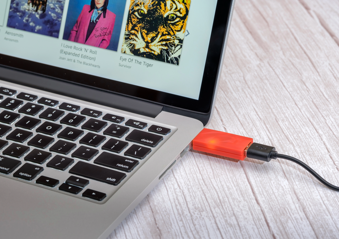 iDefender+ AA (USB-A a USB-A) - Sobre Pedido